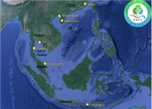 The second stage: China-ASEAN Ocean Park Ecological Service Online Platform