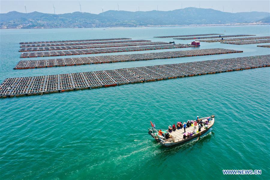 China mulls revising law on marine environment protection
