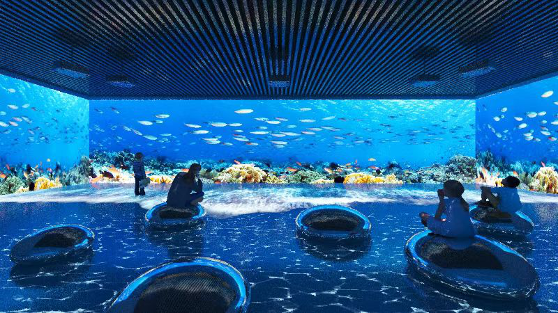 Xiamen explores new ways of marine culture popularization