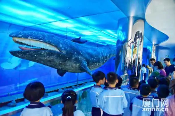展示各类海洋生物标本200多件 海洋三所鲸豚展馆举办开放日活动