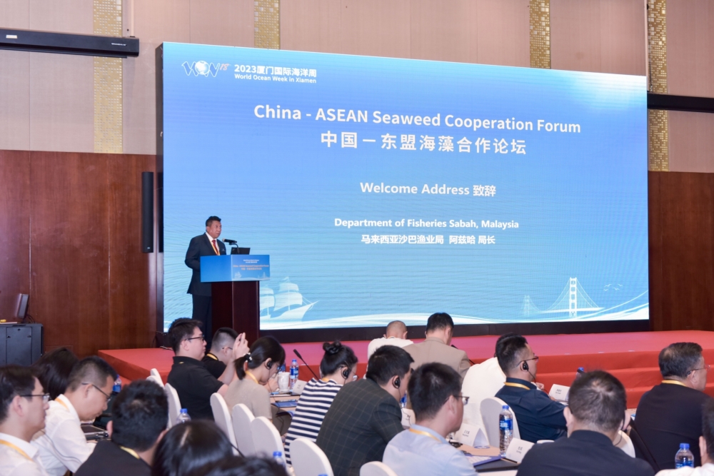 中国东盟官员学者聚焦“海中森林” 携手推进海藻产业合作